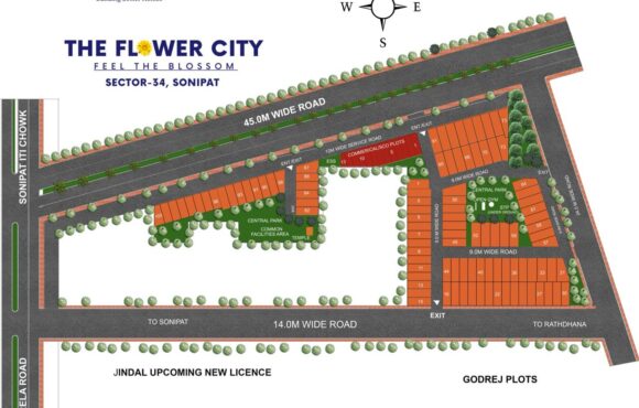 FLOWER CITY SECTOR -34